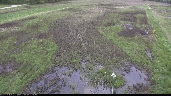 Cell 1_24-05-06_08-05-44-34