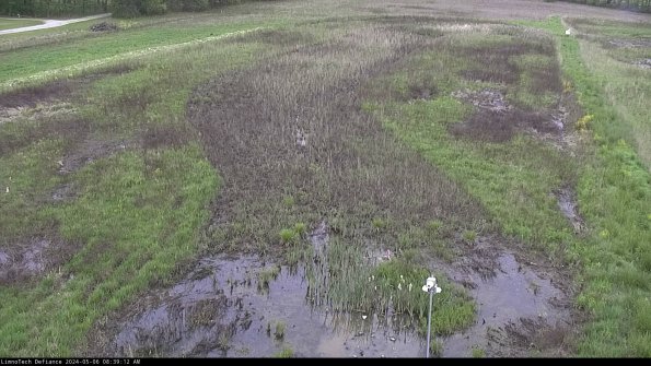 Cell 1_24-05-06_08-39-13-36