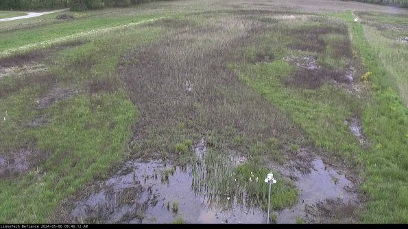 Cell 1_24-05-06_09-46-13-32