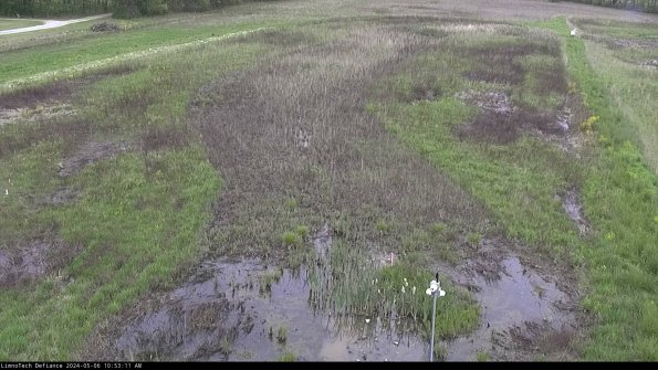 Cell 1_24-05-06_10-53-12-33