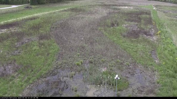 Cell 1_24-05-06_13-07-10-35