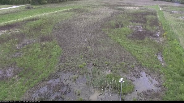 Cell 1_24-05-06_13-40-40-34