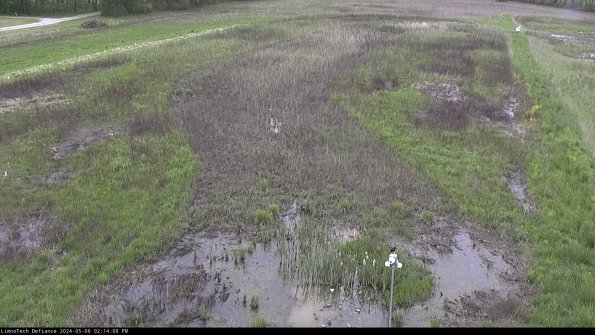 Cell 1_24-05-06_14-14-09-34