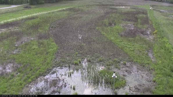 Cell 1_24-05-06_15-54-38-35