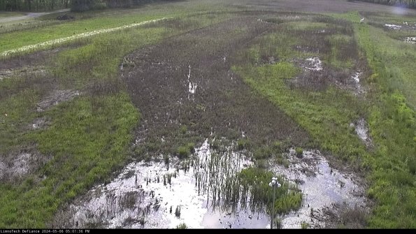 Cell 1_24-05-06_17-01-37-32