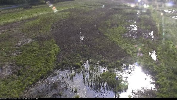 Cell 1_24-05-06_18-42-05-31