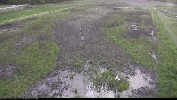 Cell 1_24-05-06_19-49-04-32