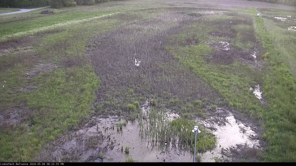 Cell 1_24-05-06_20-22-34-34