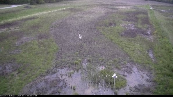 Cell 1_24-05-06_20-56-04-33