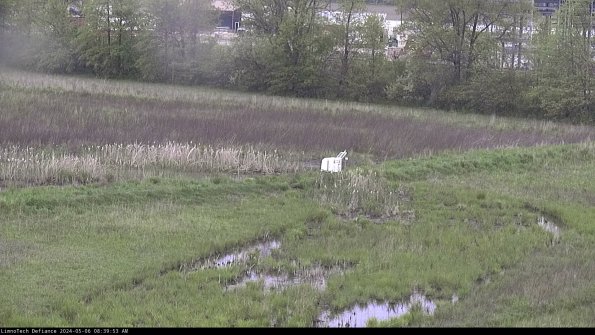 Cell 2 to 3_24-05-06_08-39-53-50