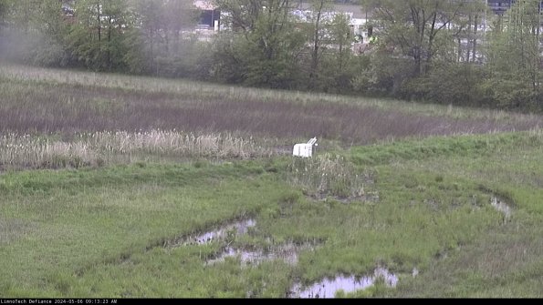 Cell 2 to 3_24-05-06_09-13-23-58