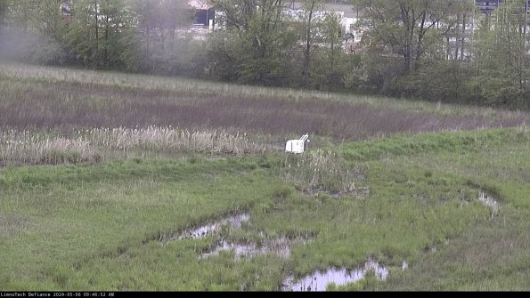 Cell 2 to 3_24-05-06_09-46-53-36