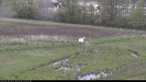 Cell 2 to 3_24-05-06_10-20-22-52