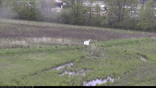 Cell 2 to 3_24-05-06_10-53-52-37