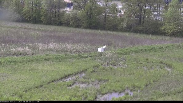 Cell 2 to 3_24-05-06_15-55-18-45