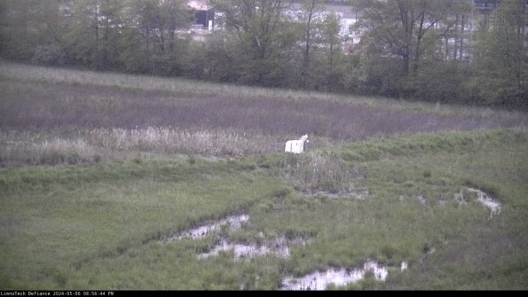 Cell 2 to 3_24-05-06_20-56-44-50