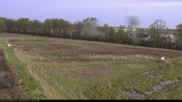 Cell 2_24-05-06_07-32-40-42