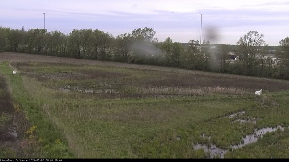 Cell 2_24-05-06_08-06-11-36