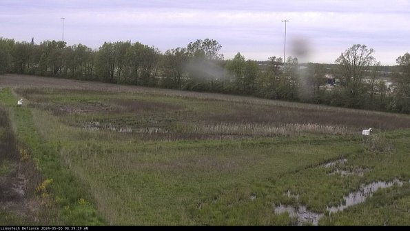 Cell 2_24-05-06_08-39-40-38