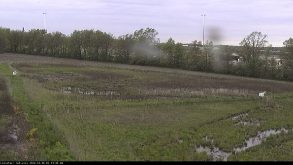 Cell 2_24-05-06_09-13-10-43