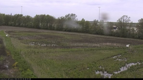 Cell 2_24-05-06_09-46-40-35