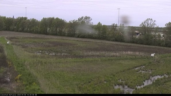 Cell 2_24-05-06_10-20-09-40