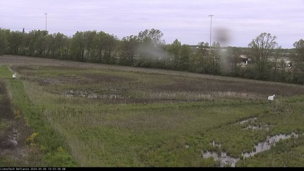 Cell 2_24-05-06_10-53-39-36