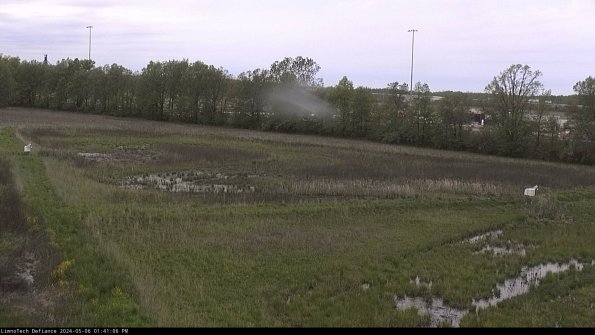 Cell 2_24-05-06_13-41-07-36