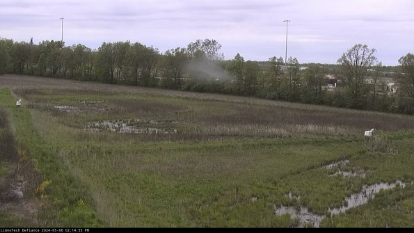 Cell 2_24-05-06_14-14-36-37