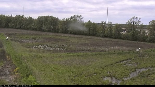 Cell 2_24-05-06_15-55-05-37