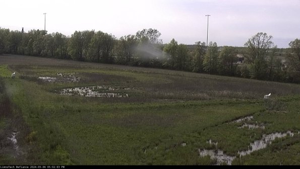 Cell 2_24-05-06_17-02-04-35