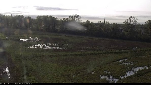 Cell 2_24-05-06_18-42-32-34