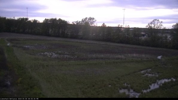 Cell 2_24-05-06_20-56-31-39