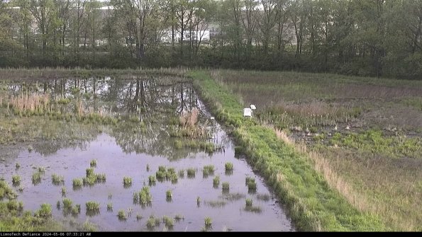 Cell 3 to 4_24-05-06_07-33-22-32