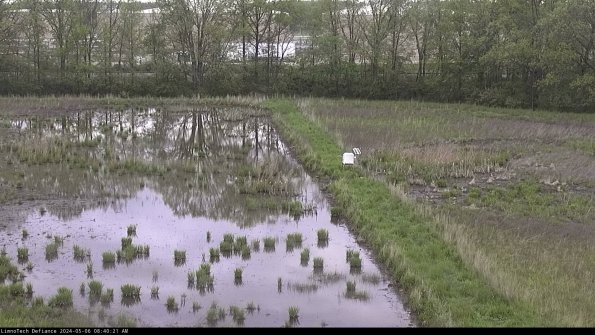 Cell 3 to 4_24-05-06_08-40-22-33