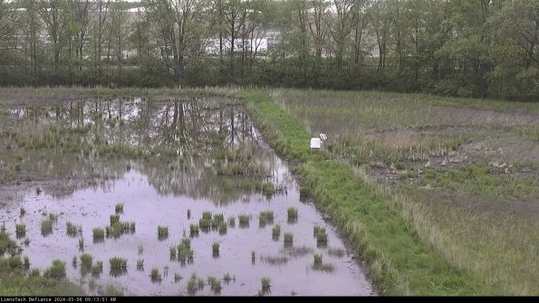 Cell 3 to 4_24-05-06_09-13-52-34