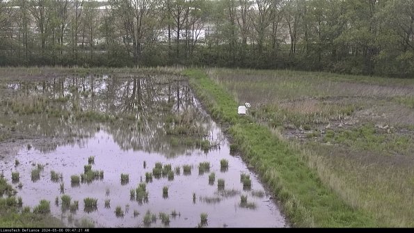 Cell 3 to 4_24-05-06_09-47-22-33