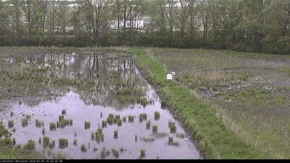 Cell 3 to 4_24-05-06_10-20-51-31