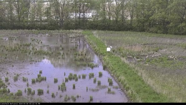 Cell 3 to 4_24-05-06_15-22-17-33