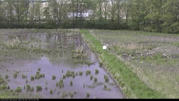 Cell 3 to 4_24-05-06_15-55-47-32