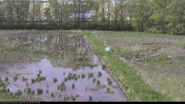 Cell 3 to 4_24-05-06_16-29-16-35