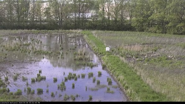 Cell 3 to 4_24-05-06_17-02-45-32