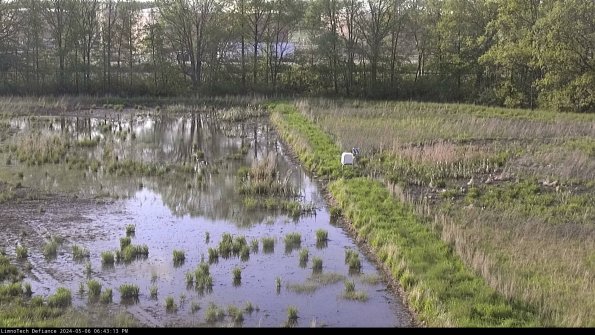 Cell 3 to 4_24-05-06_18-43-14-35