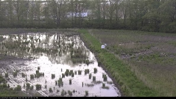 Cell 3 to 4_24-05-06_19-50-13-32