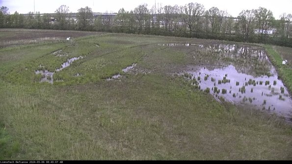 Cell 3_24-05-06_08-40-08-35