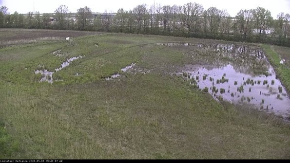 Cell 3_24-05-06_09-47-08-35