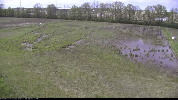 Cell 3_24-05-06_15-55-33-34