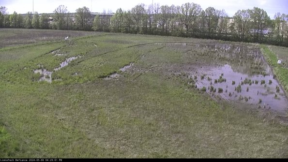 Cell 3_24-05-06_16-29-02-34