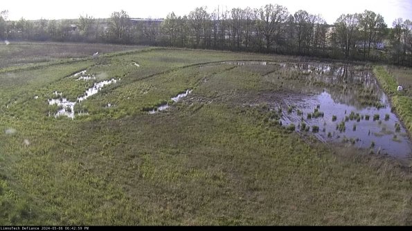 Cell 3_24-05-06_18-43-00-33