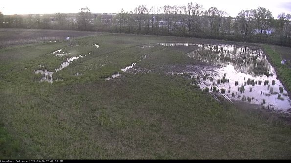 Cell 3_24-05-06_19-49-59-34